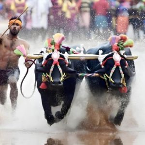 Grants sought for Kambala