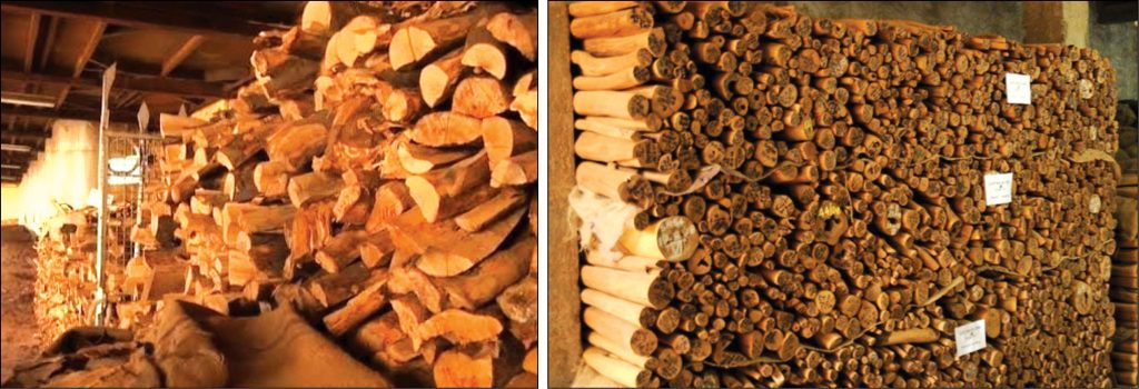 Seized sandalwood auction earns over Rs. 7 crore
