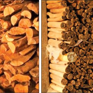 Seized sandalwood auction earns over Rs. 7 crore