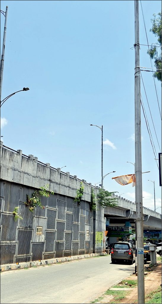 Plants aplenty on side walls of flyover slabs!