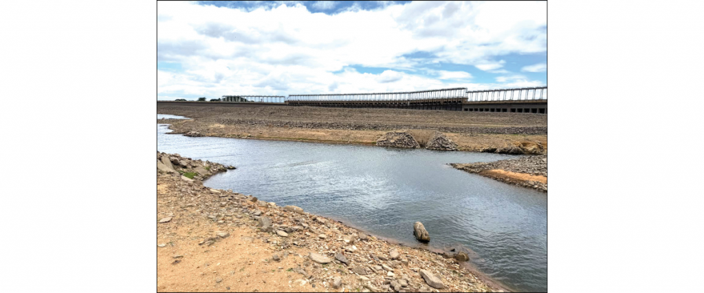 Govt. rings alarm over KRS storage