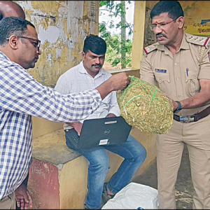 Talakad Police seize 4-kg ganja, nab Hunsur man