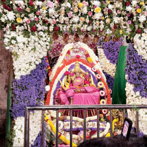 Devotees climb Hill steps on second Ashada Friday