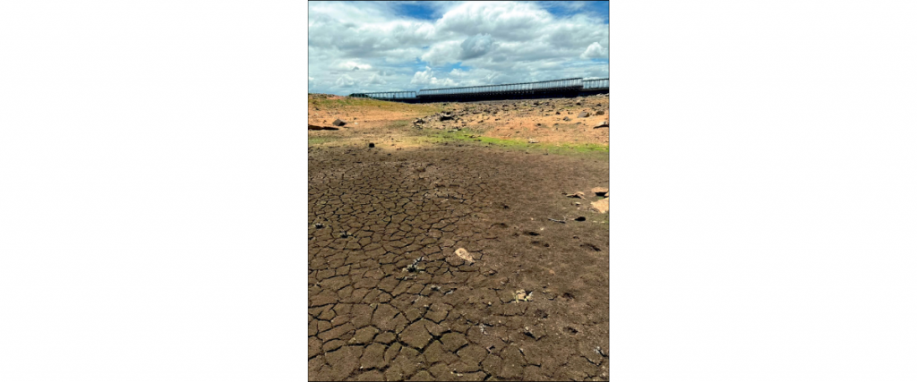 Release 3,500 cusecs of water to TN: CWRC orders Karnataka