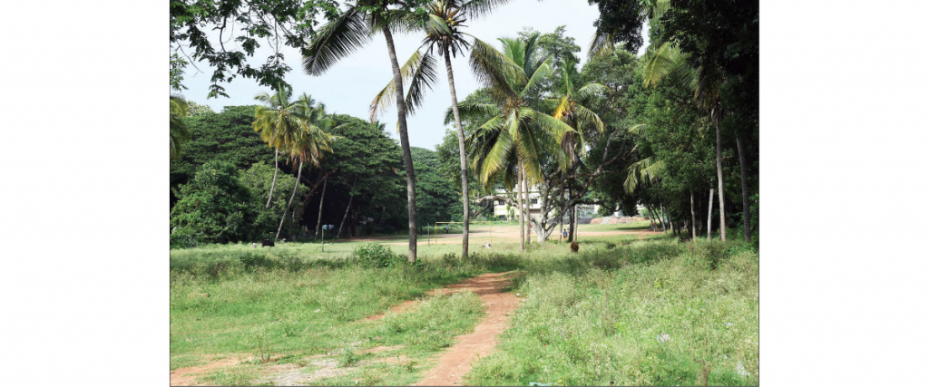 City’s Lalbagh to get Rs. 5 crore makeover