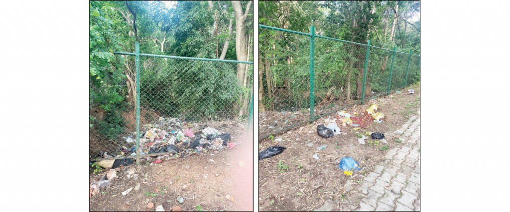 Kukkarahalli Lake: Garbage concerns