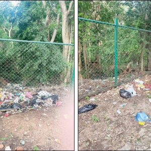 Kukkarahalli Lake: Garbage concerns