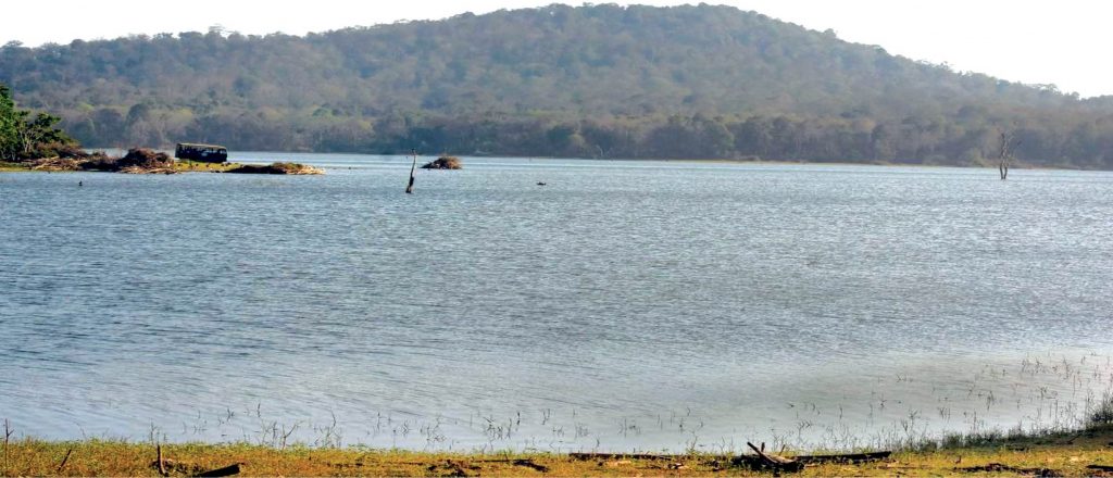 Sewage water from Saragur and H.D. Kote polluting Kabini backwaters
