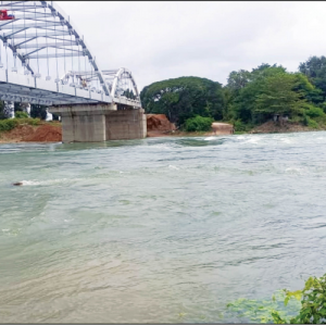 Dams swell after rains