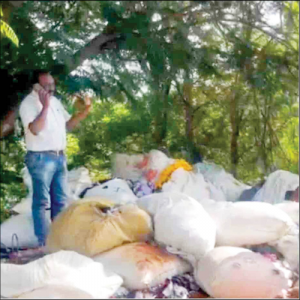 Dumped Garbage Returns!