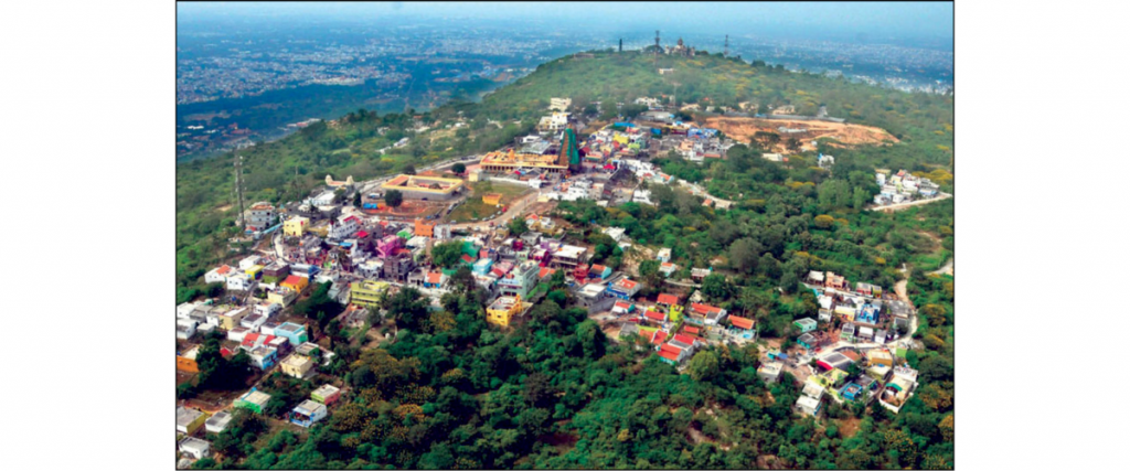 Declare Chamundi Hill a No-fly Zone: Yaduveer