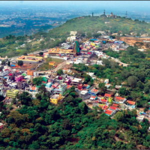 Declare Chamundi Hill a No-fly Zone: Yaduveer