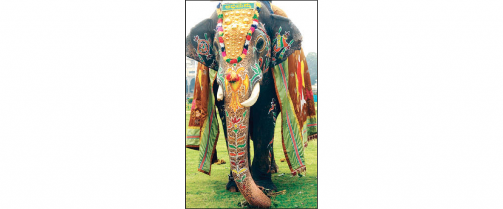 Abhimanyu to be ‘Nishane’ elephant this year