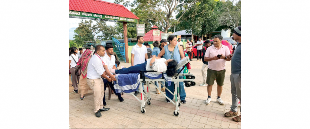 More than 20 injured as safari bus rams into tree