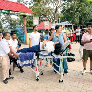 More than 20 injured as safari bus rams into tree