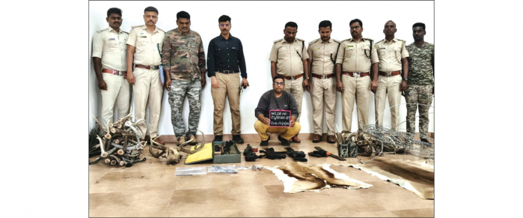 Huge cache of wildlife trophies, arms & ammunitions seized