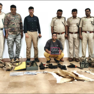 Huge cache of wildlife trophies, arms & ammunitions seized