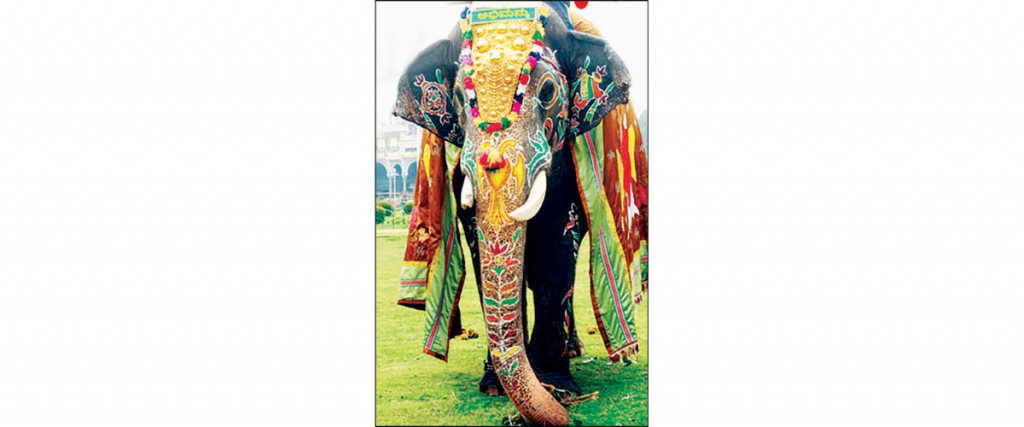 Jumbo Farewell…