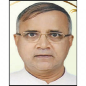 Rev. C. Rayappa