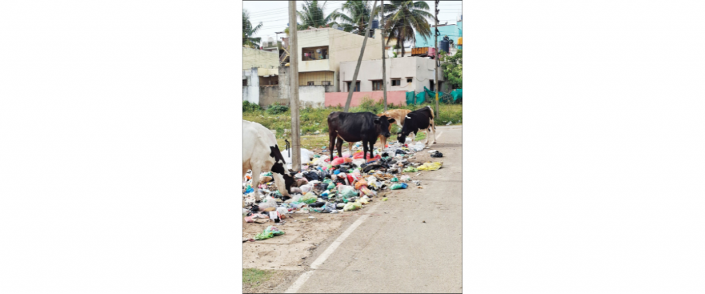 Hebbal entrance point is a garbage dump now