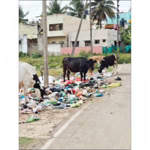 Hebbal entrance point is a garbage dump now
