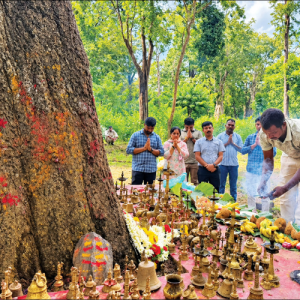 Elephant handlers turn to... Forest Gods