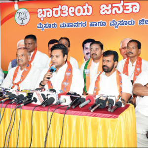 Public roads must have no curbs: MP