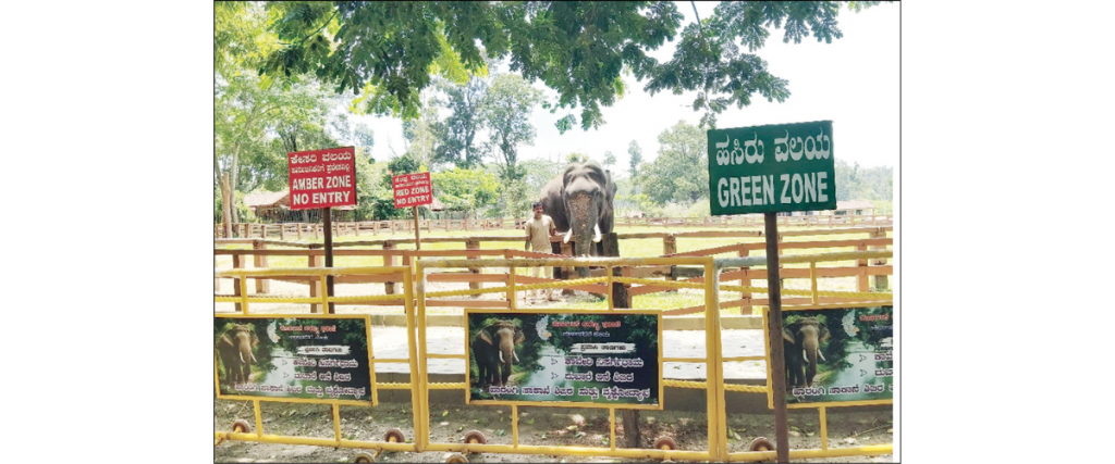Dubare Elephant Camp opens for tourists
