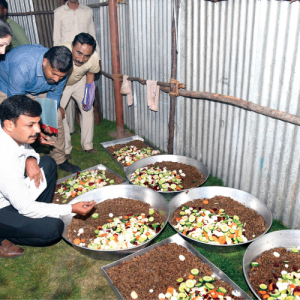 Dasara Jumbos on Special Diet