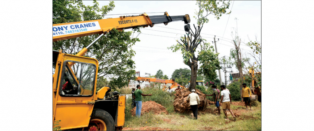 Kempegowda flyover project: 60 trees get new place, 218 to be translocated