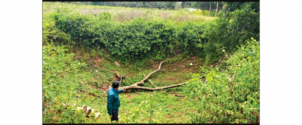 Kalyani Cleaning Drive, Shramadhan by Seshadripuram students