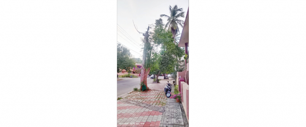 Remove dried tree at Kuvempunagar