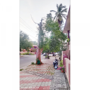 Remove dried tree at Kuvempunagar