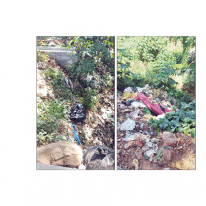Illegal garbage dumping in Vijayanagar 1st Stage