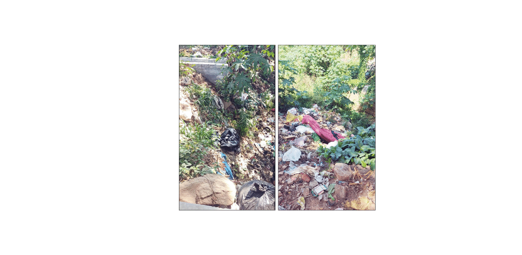 Illegal garbage dumping in Vijayanagar 1st Stage