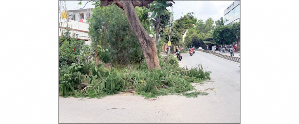 CESC staff leave pruned tree branches on roads