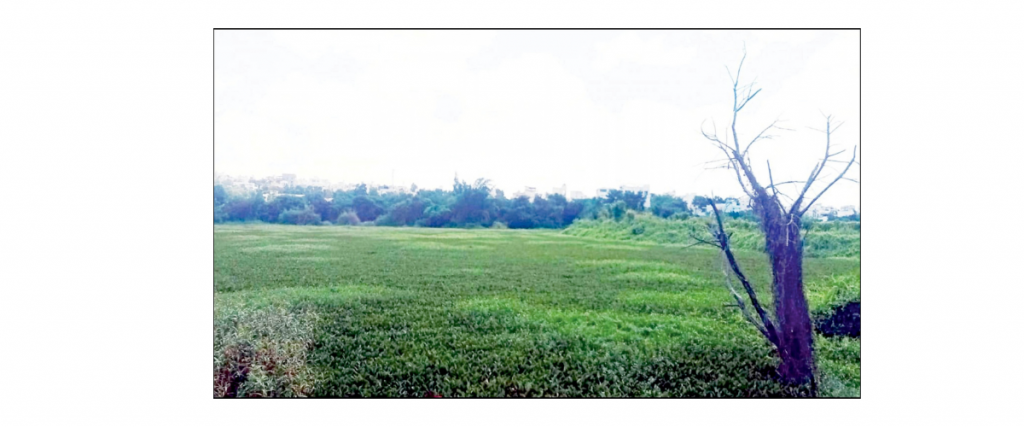‘Save Thippayyanakere’