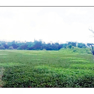 ‘Save Thippayyanakere’