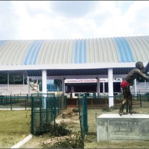 DRS to review Dasara wrestling decisions