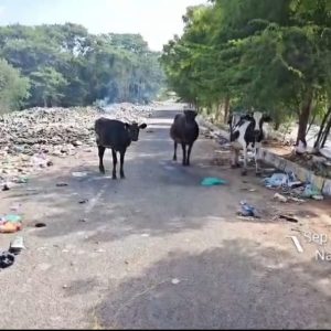 180-tonne trash cleared!
