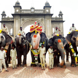 Abhimanyu joins festivities