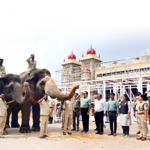 Jumboo Savari on Oct. 21