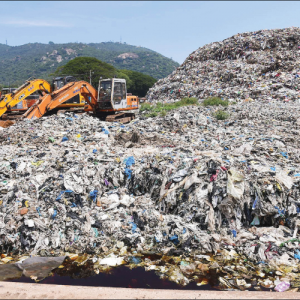 Waste clearance paused