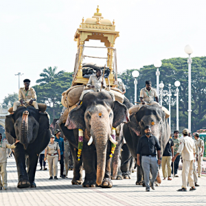 Prashantha likely to be Howdah Elephant
