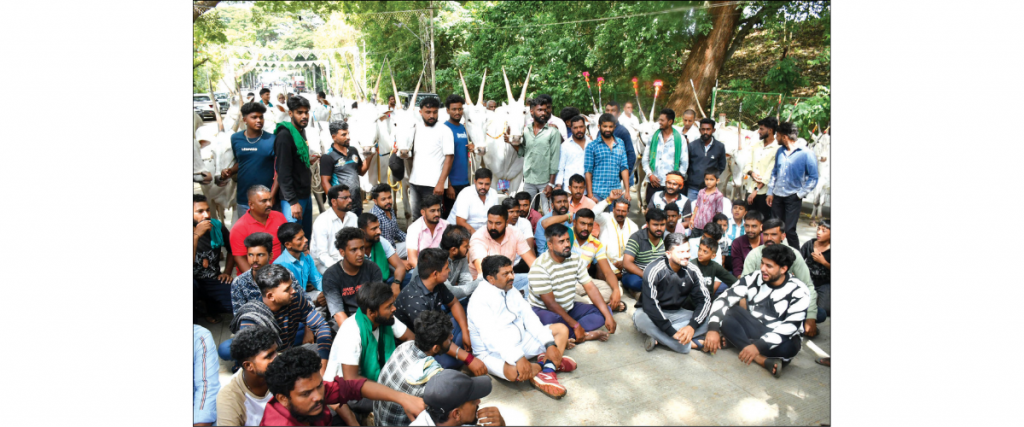 Farmers protest neglect of Hallikar breed cows