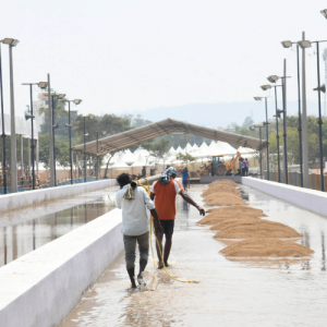 Races to be held in six categories