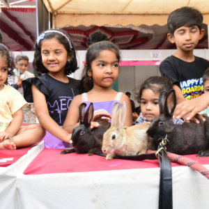 Dasara Dog Show: 780 furry friends steal limelight  