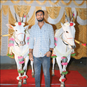 Give Hallikar bulls their due: Farmers