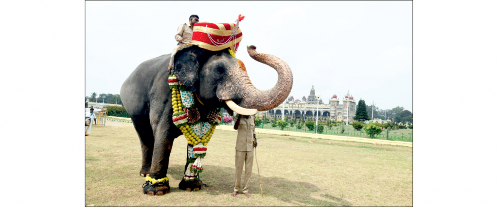 Jumbo Turban