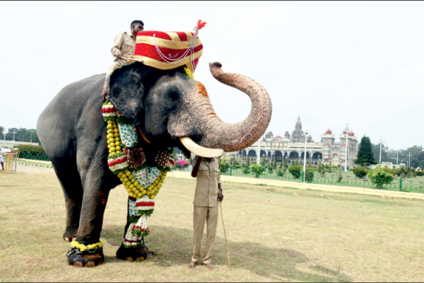 Jumbo Turban
